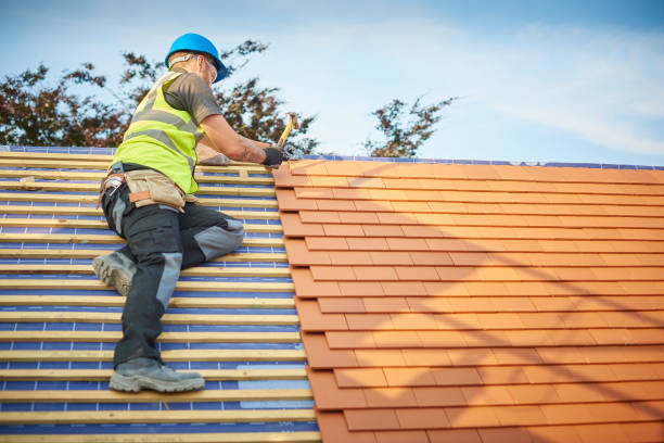 Best Cold Roofs  in Lawrencevle, IL